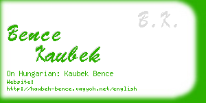 bence kaubek business card